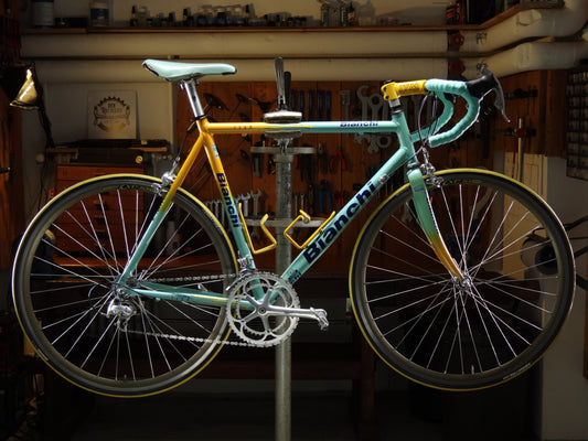 Bianchi Mega Pro Mercatone Uno (Pantani Replica)