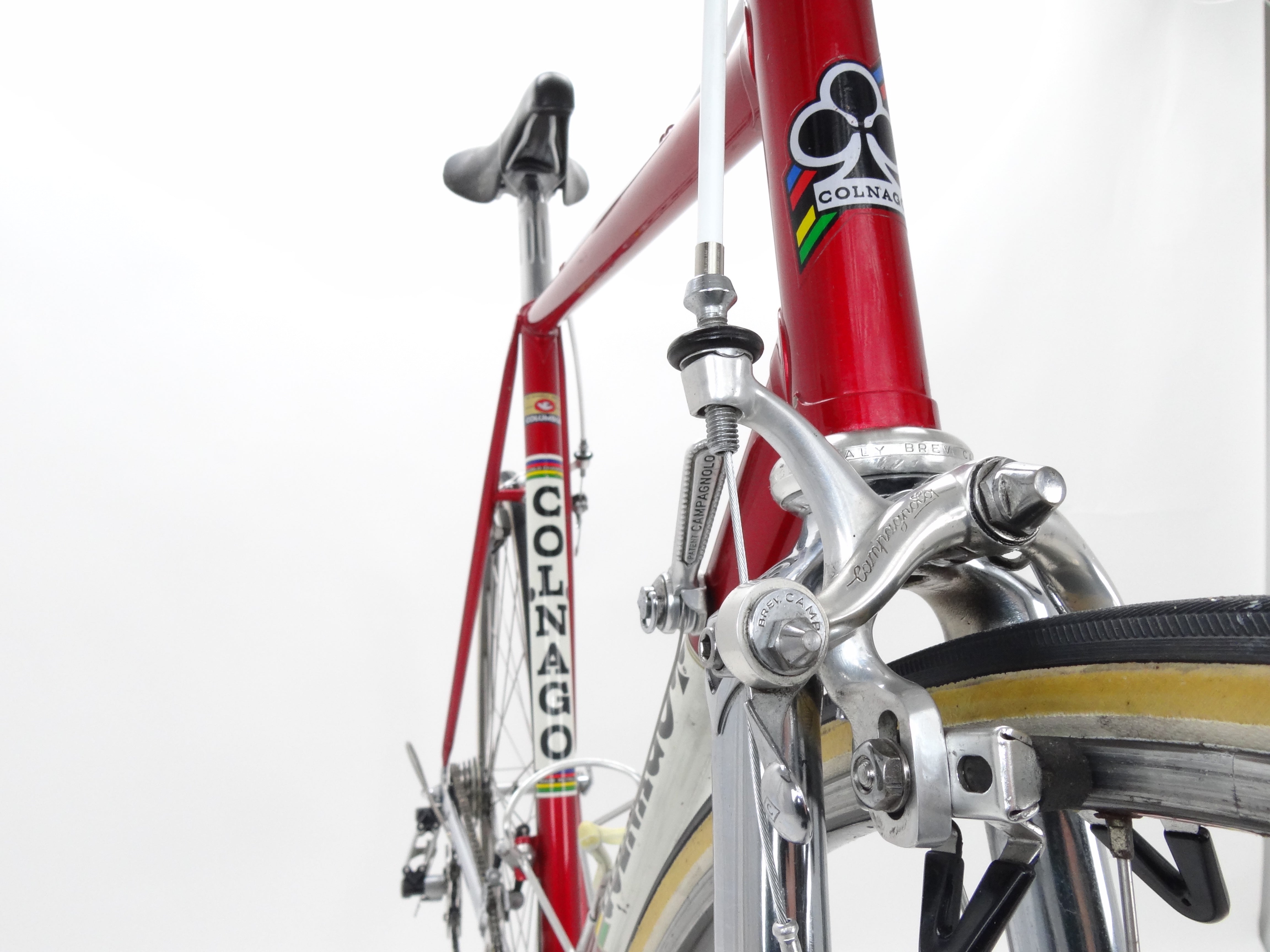 Colnago super saronni online